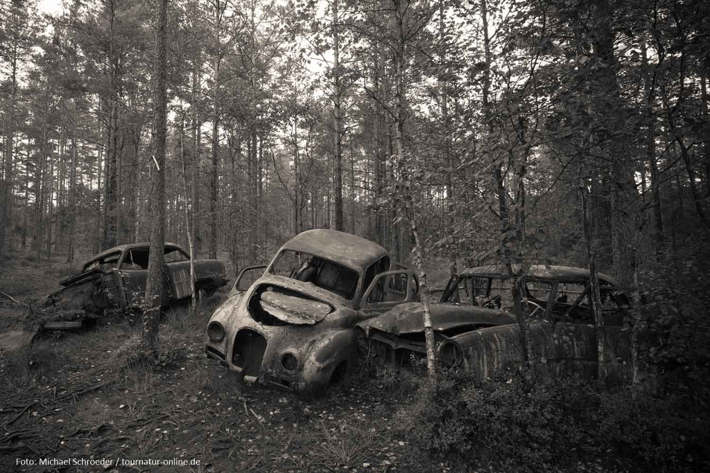 Autofriedhof im Kyrkö Mosse