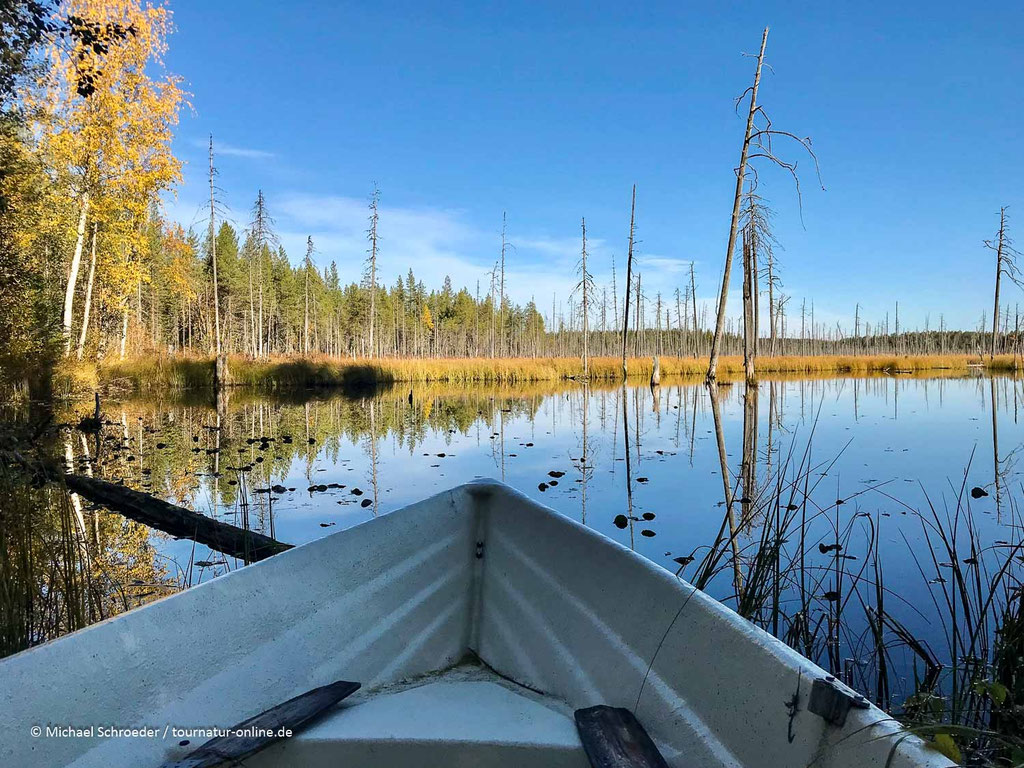 Im Park ist Bootfahren erlaubt.