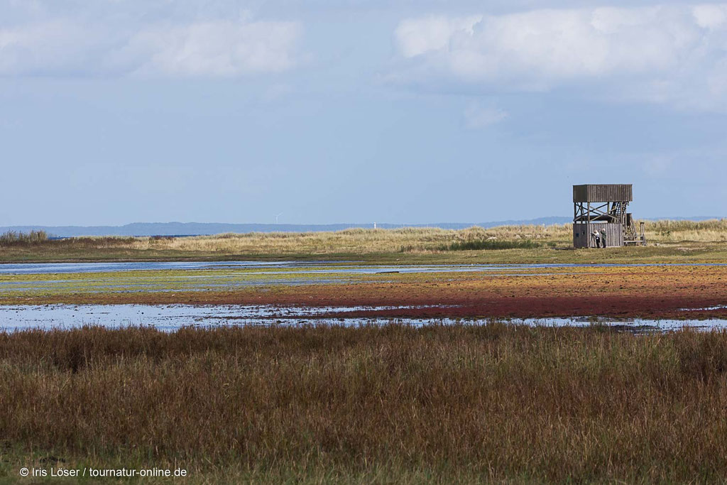 Im Naturreservat Äspet gibt es zwei Beobachtungstürme.