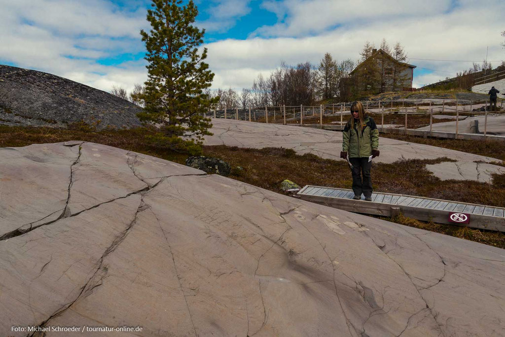 Felsritzungen von Alta