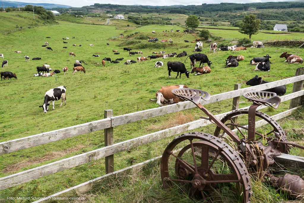 Bauernbof auf Mull