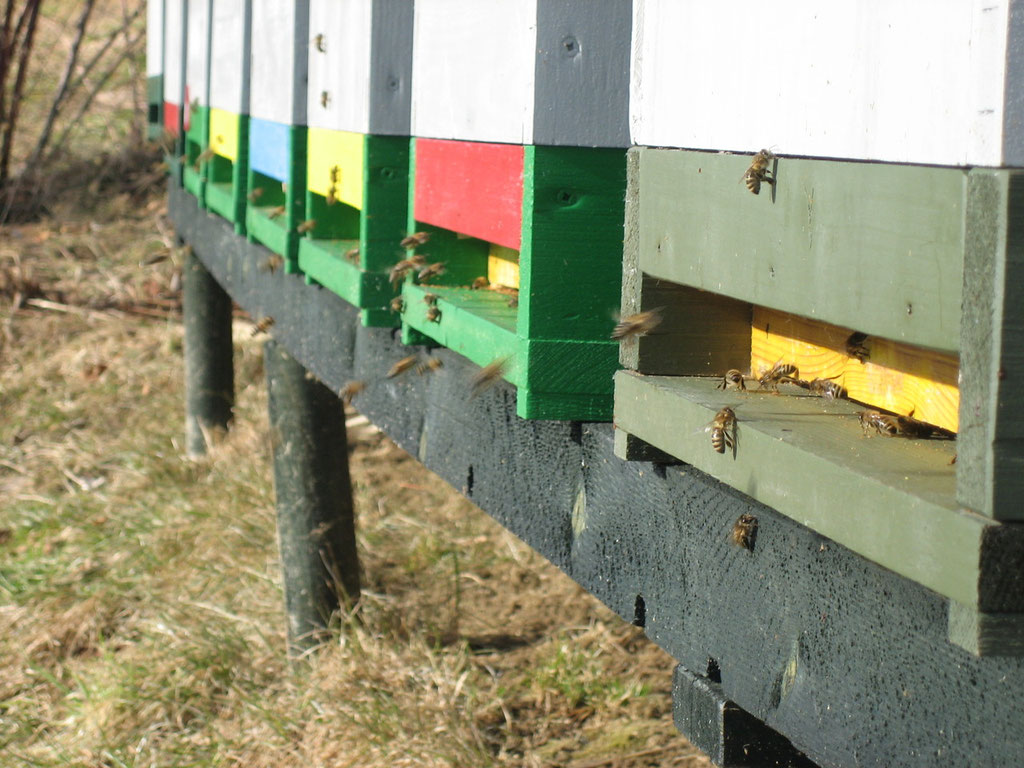 Reinigungsflug im Frühling