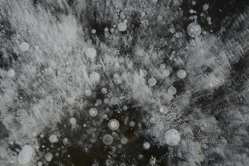 STARDUST
