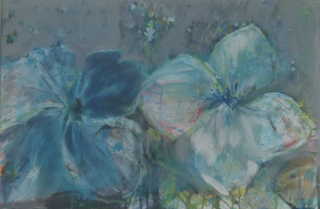 Hortensien 13,  40x60,  acrylic on canvas 