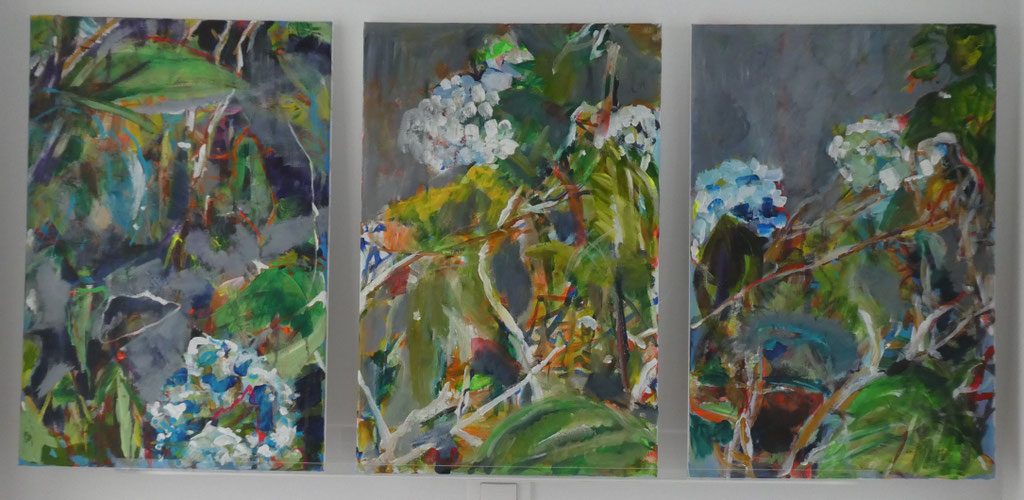 Hortensien 10 und 11 und 12,  60x40,  acrylic on canvas 