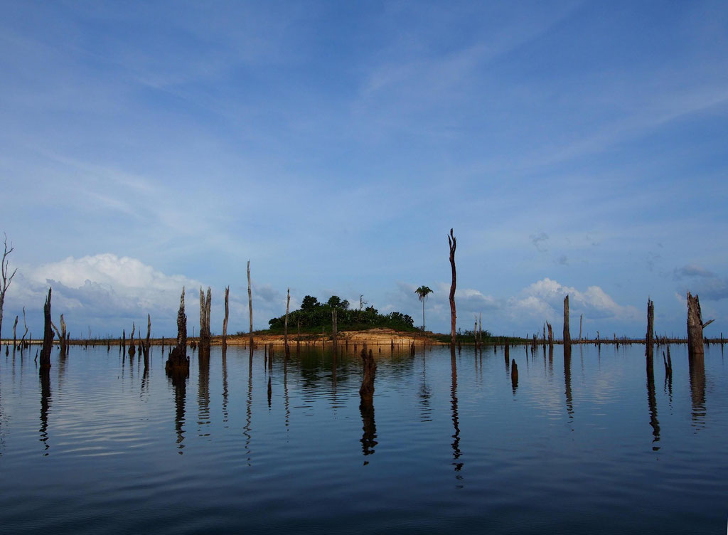 Unbekanntes Suriname: Insel im Brokopondo-Stausee mit 50 Jahre alten Baumskeletten