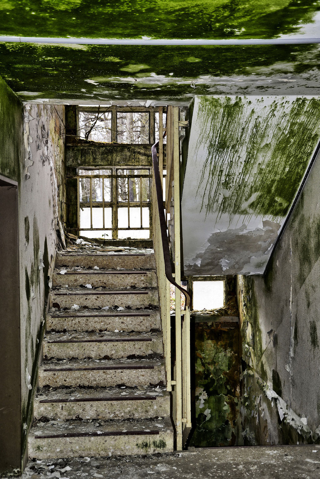 (c) by Marcel Bartwicki