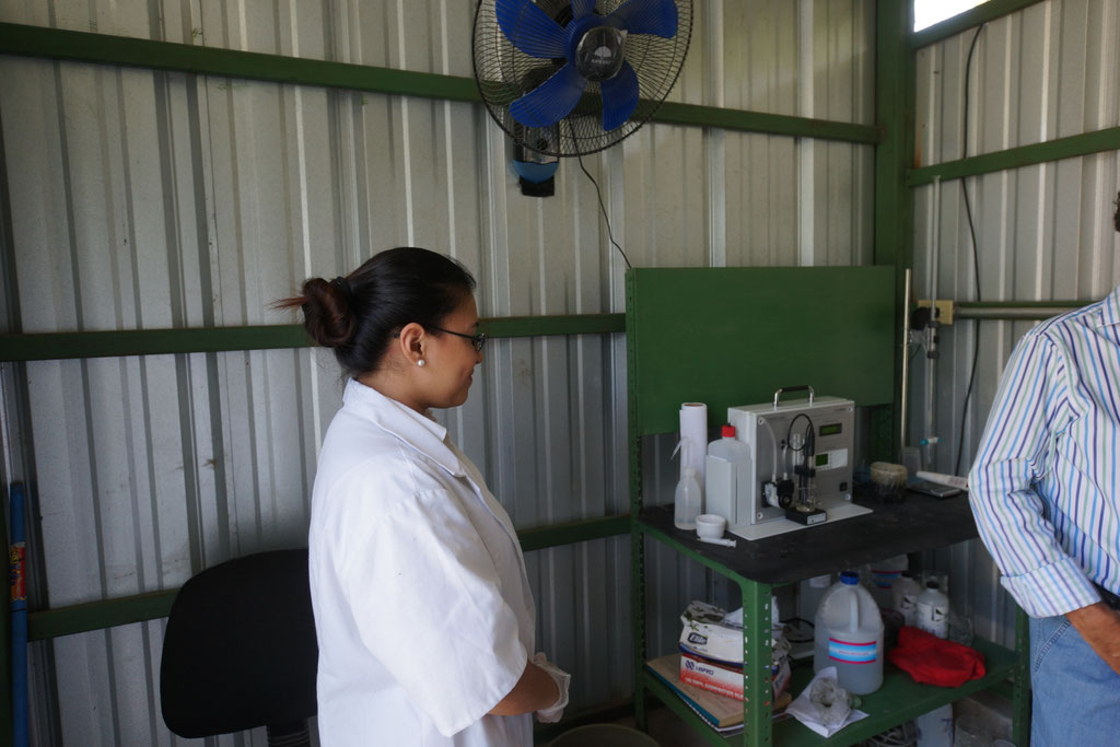 planta piloto para gallinaza producción de biogas