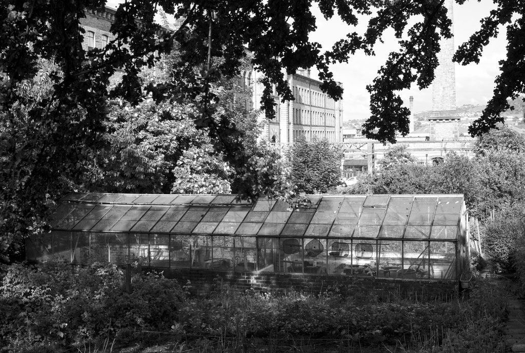 Saltaire Greenhouse