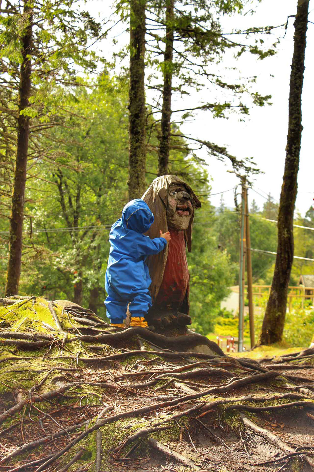 Troll Forest Mt Floyen Bergen Norway