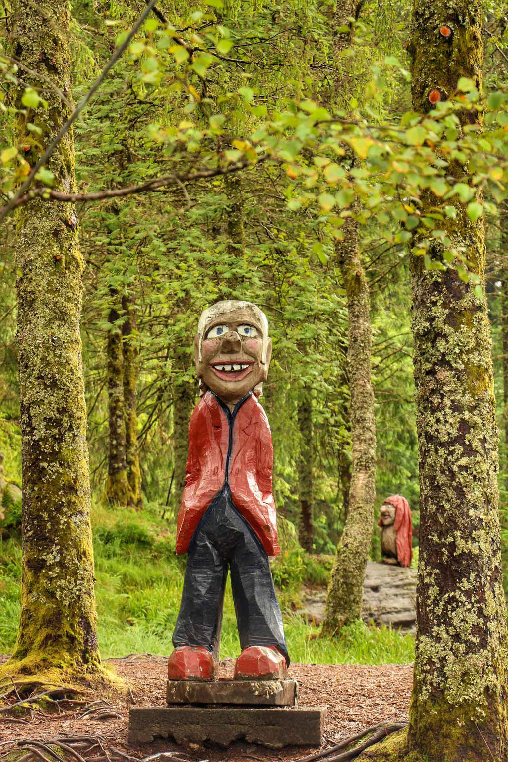 Troll Forest Mt Floyen Bergen Norway