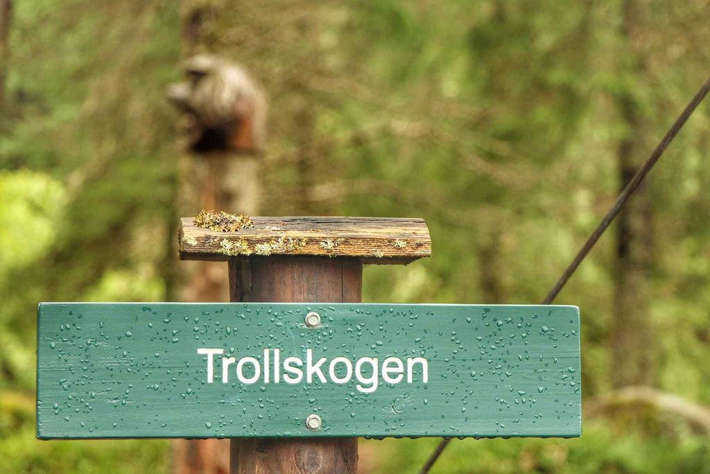 Troll Forest Mt Floyen Bergen Norway