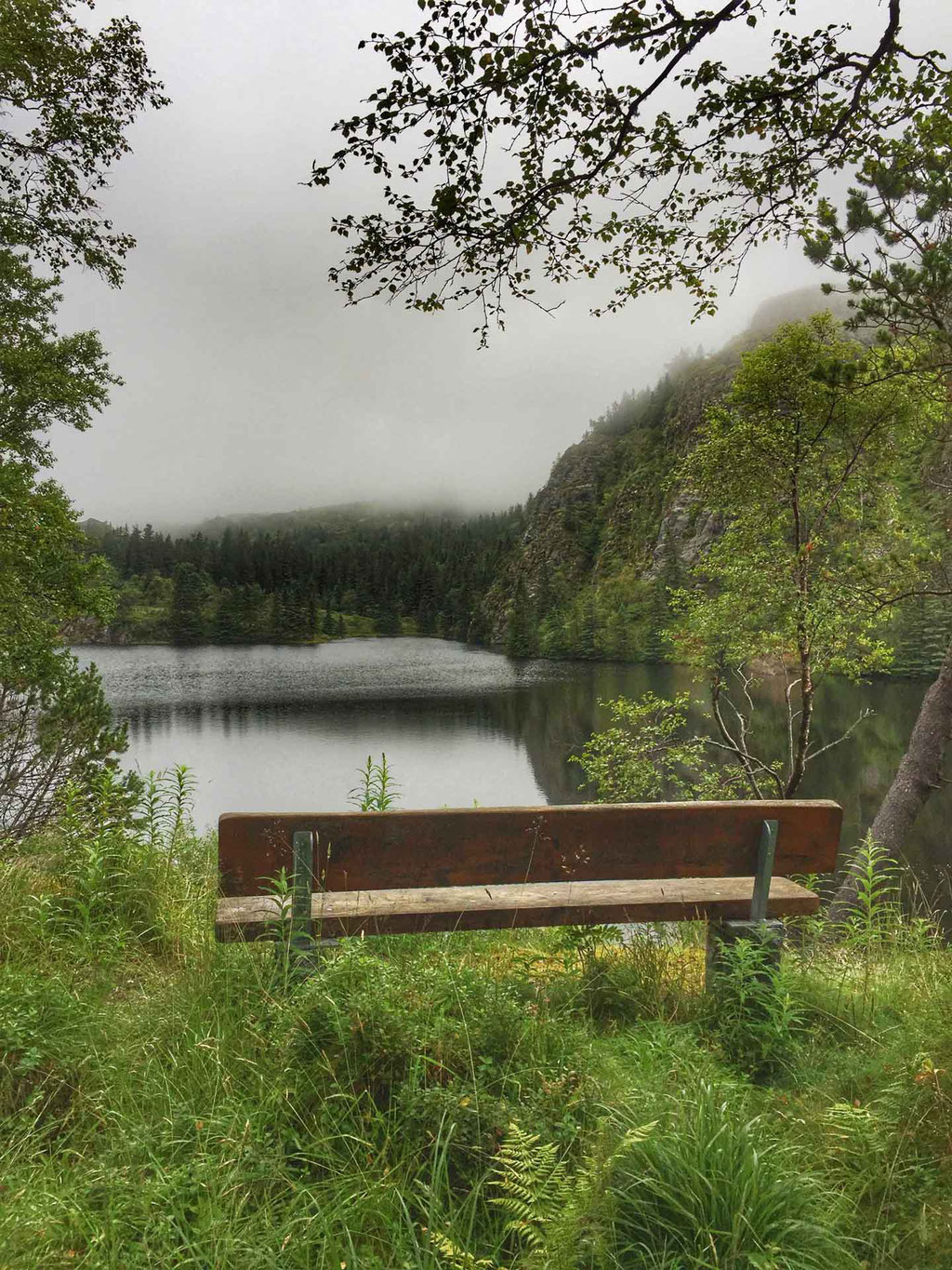 Hiking with kids in Bergen Norway