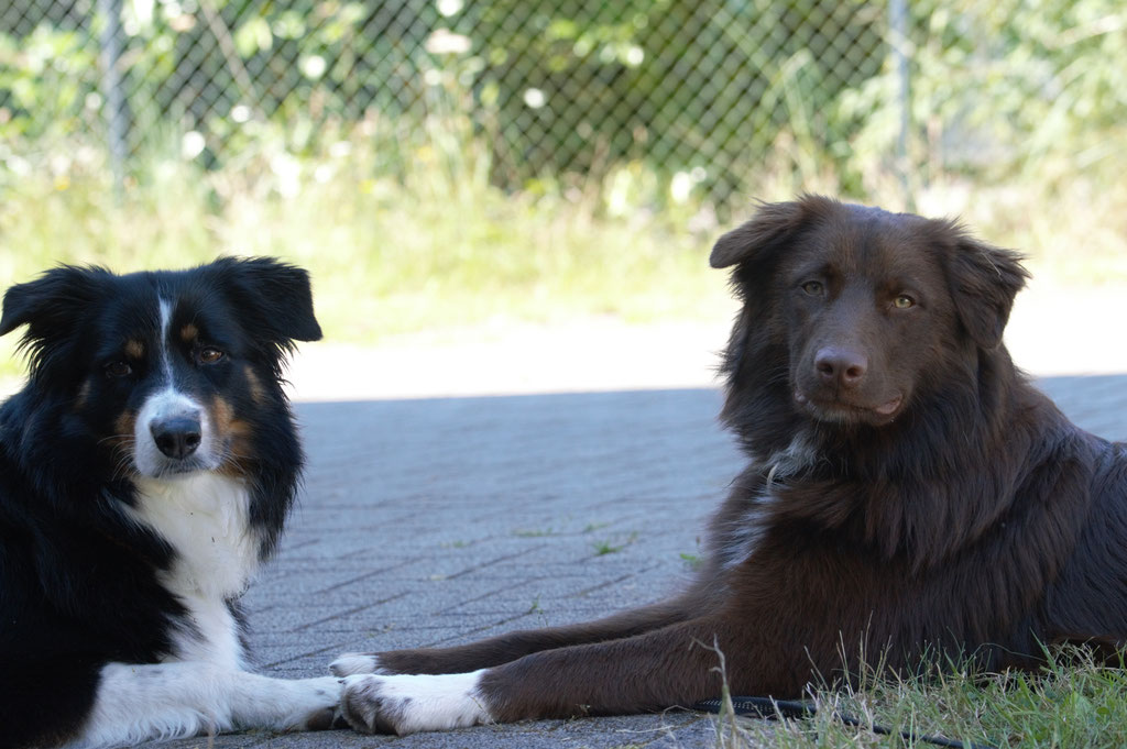 Cleo mit ihrem Enkel Balu