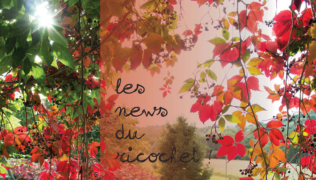 Newsletter #3 : octobre 2013