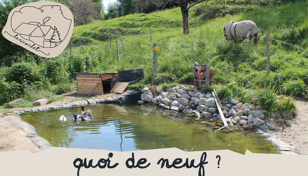 Newsletter #24 : juillet 2019