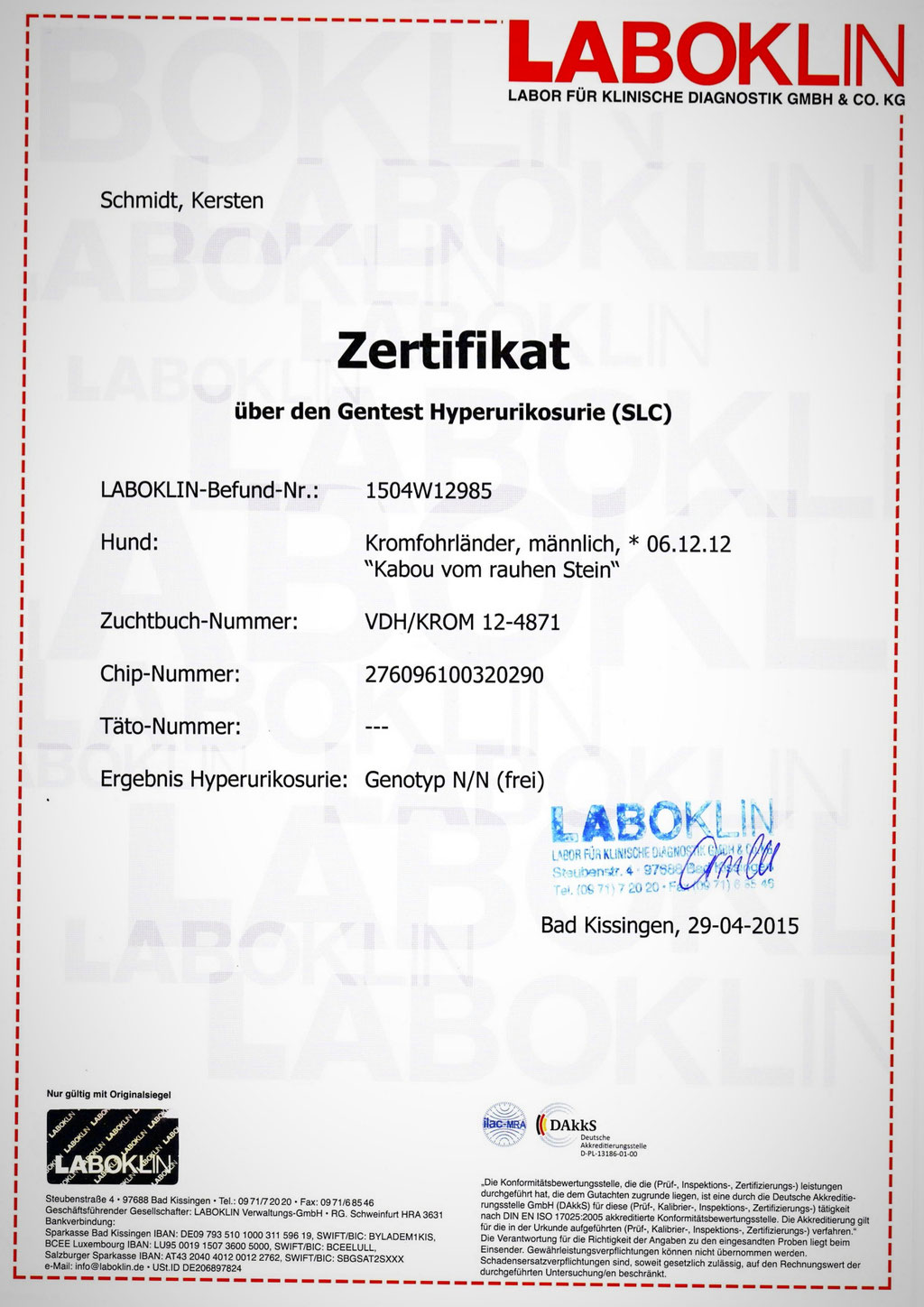 Kabous Laboklin-Zertifikat: Hyperurikosurie - Genotyp N/N (frei)