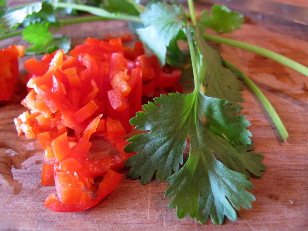 frischer Koriander und eine Chilischote