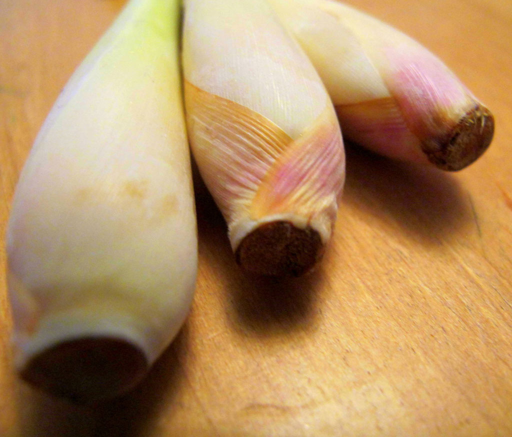 frisches Zitronengras
