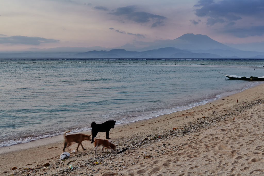 vacances © jc Lett