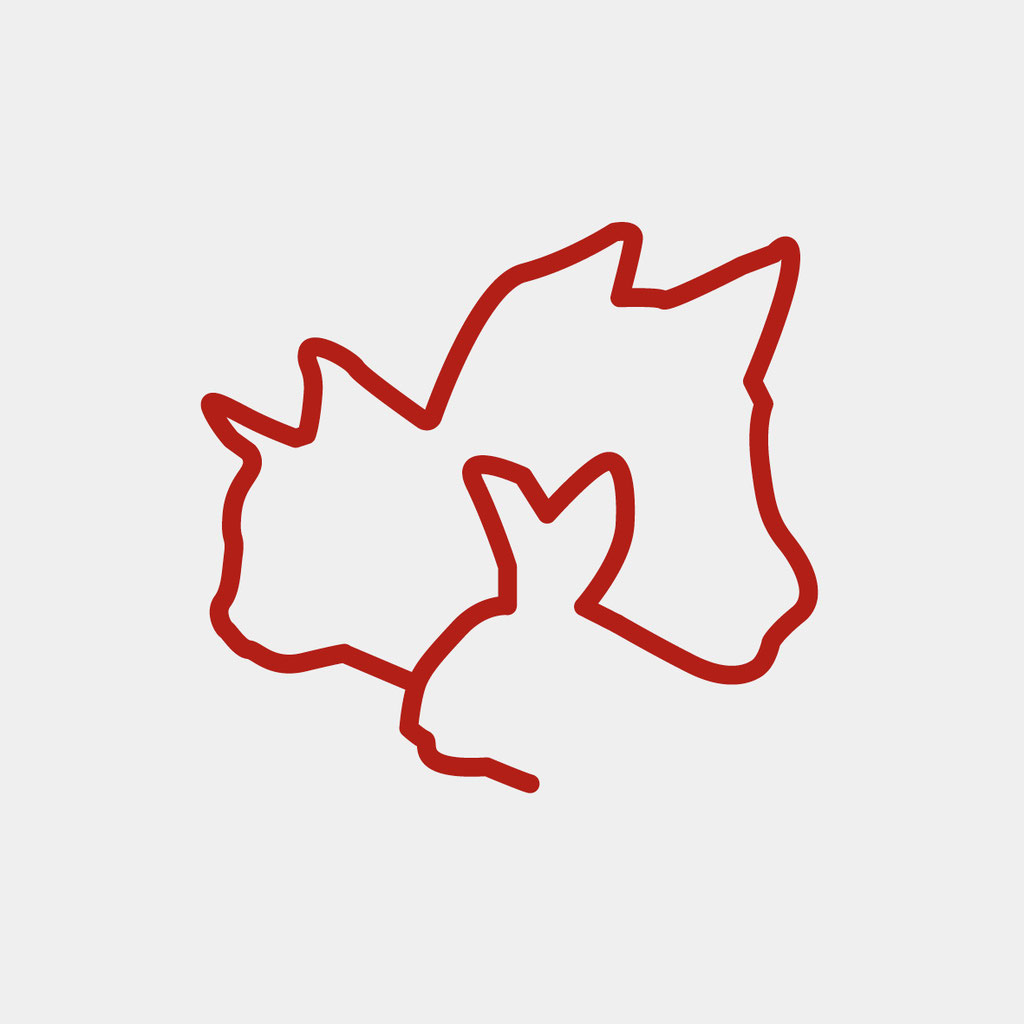 Embleem