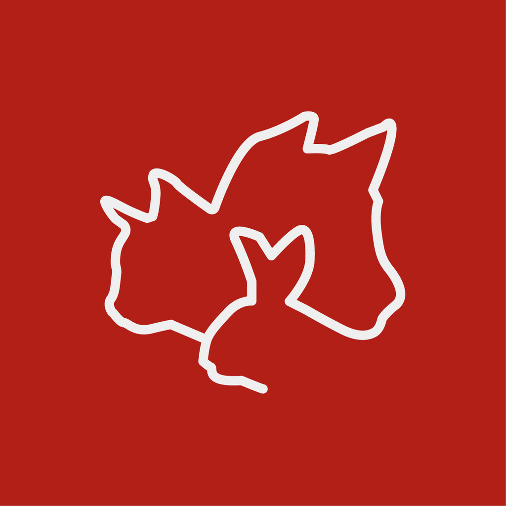 Embleem - diapositief