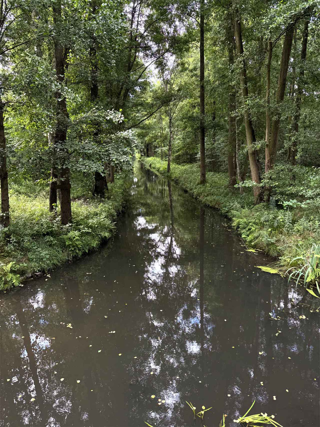 Spreewald
