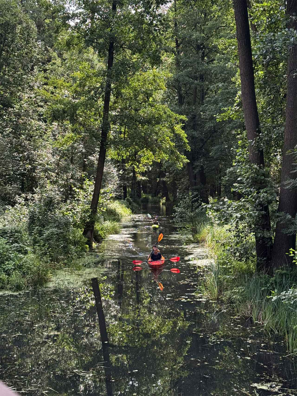 Spreewald