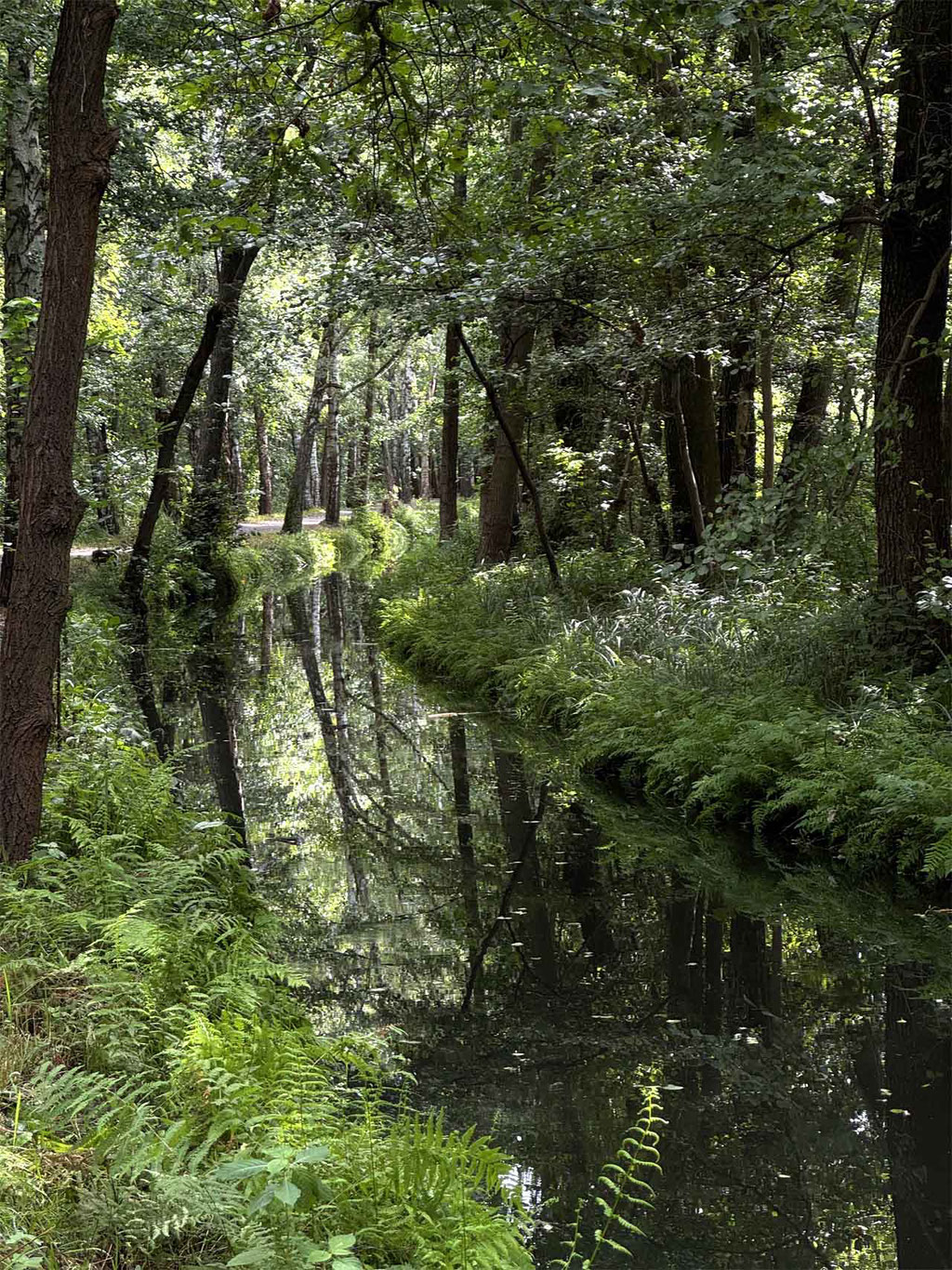 Spreewald