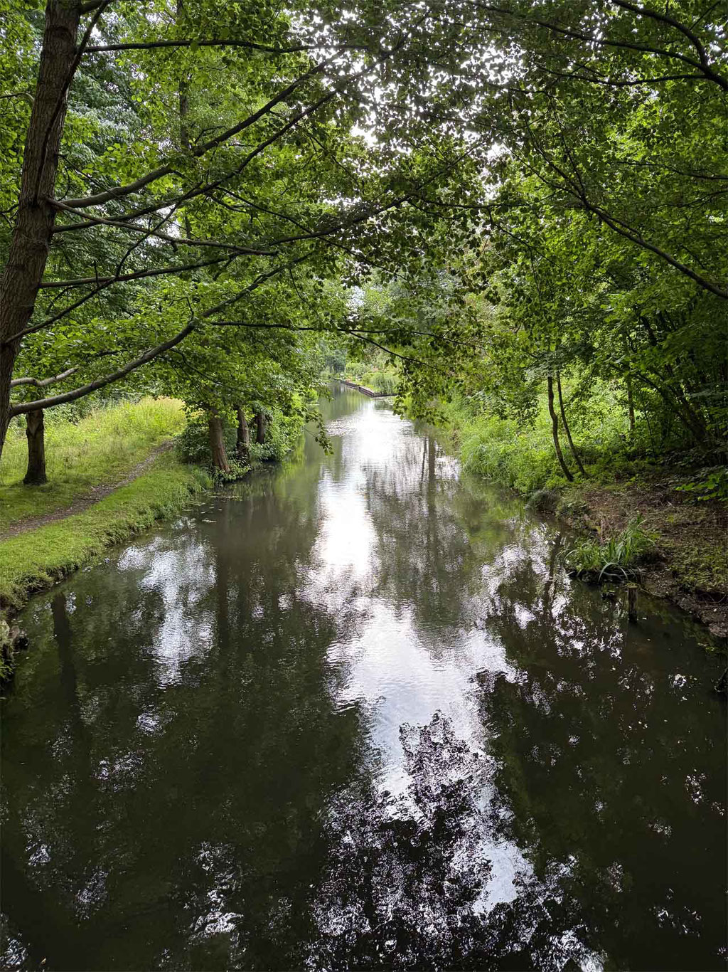 Spreewald