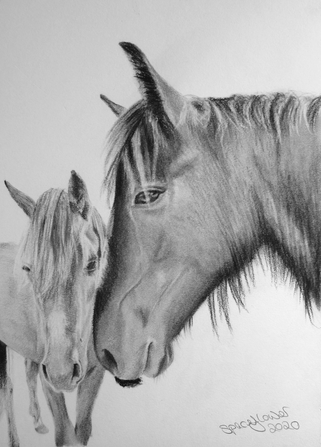 A4 Kohleportrait