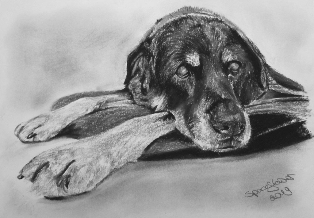 A4 Kohleportrait