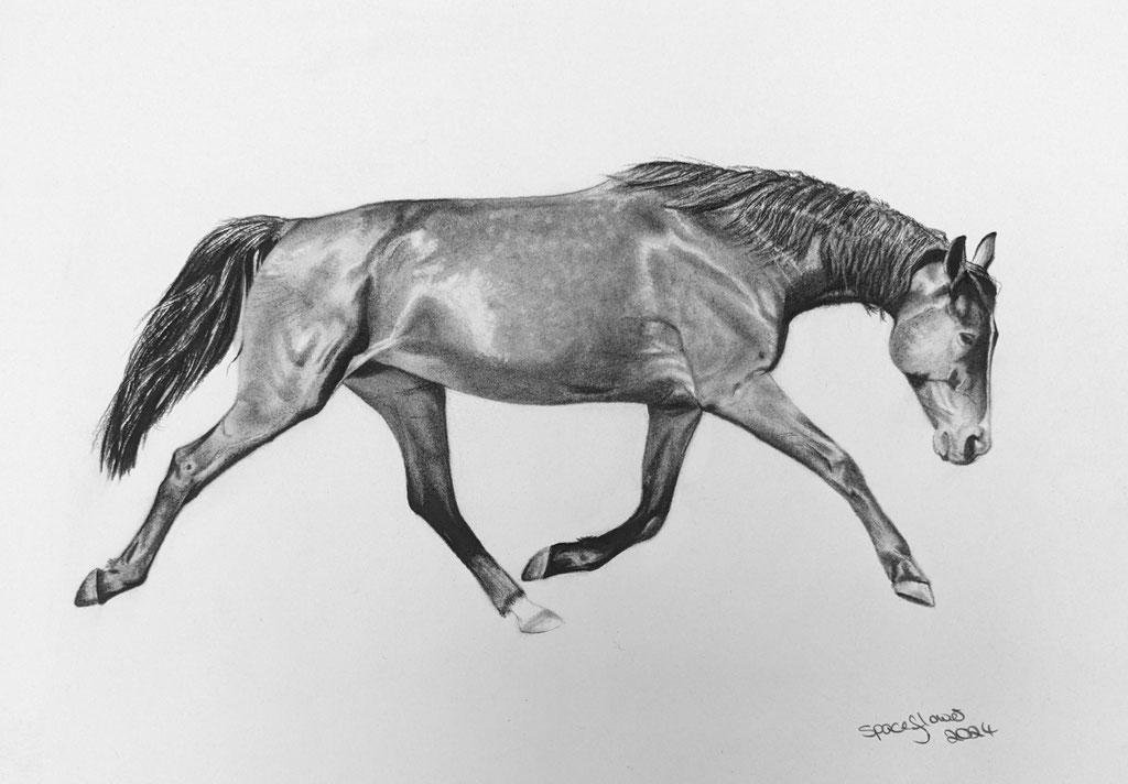 A4 Kohleportrait