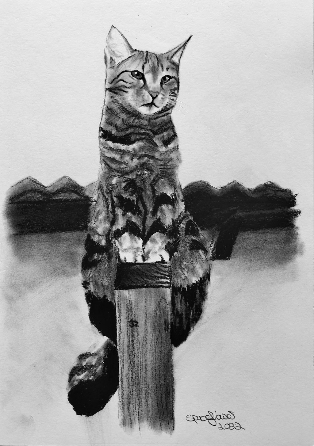A4 Kohleportrait