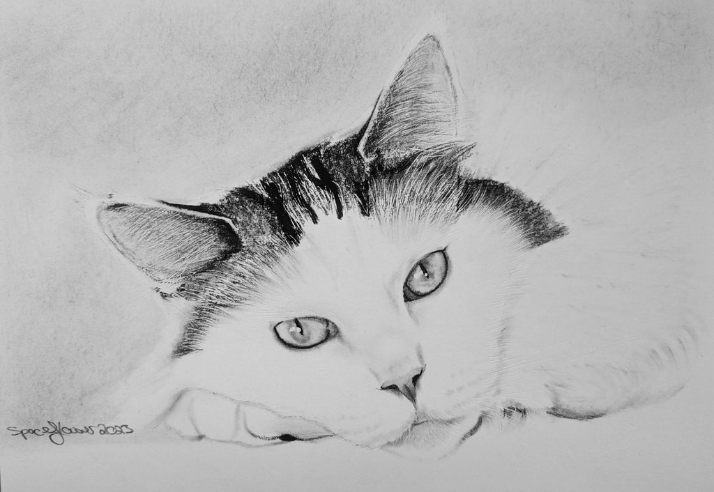 A4 Kohleportrait