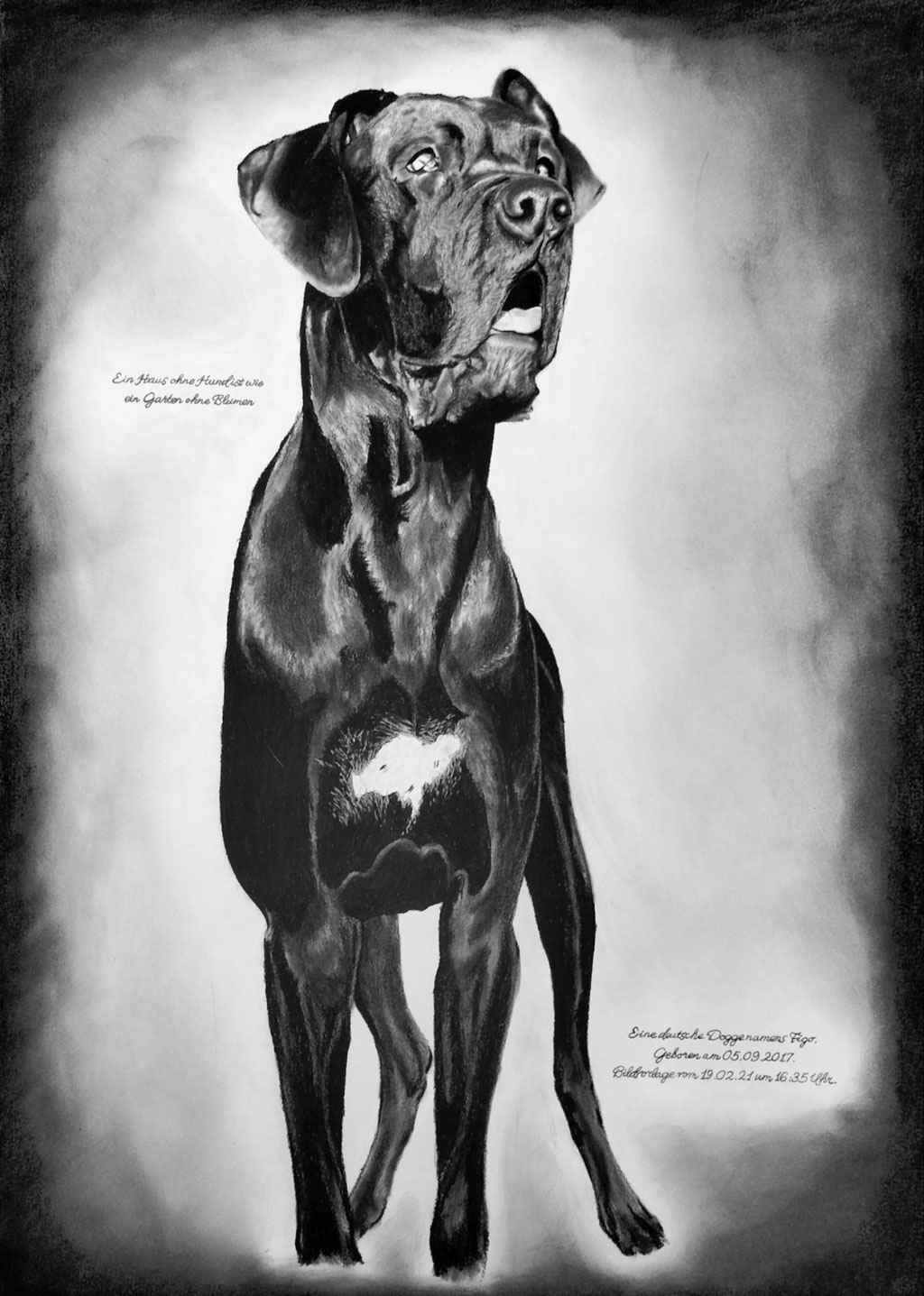 A1 Kohleportrait