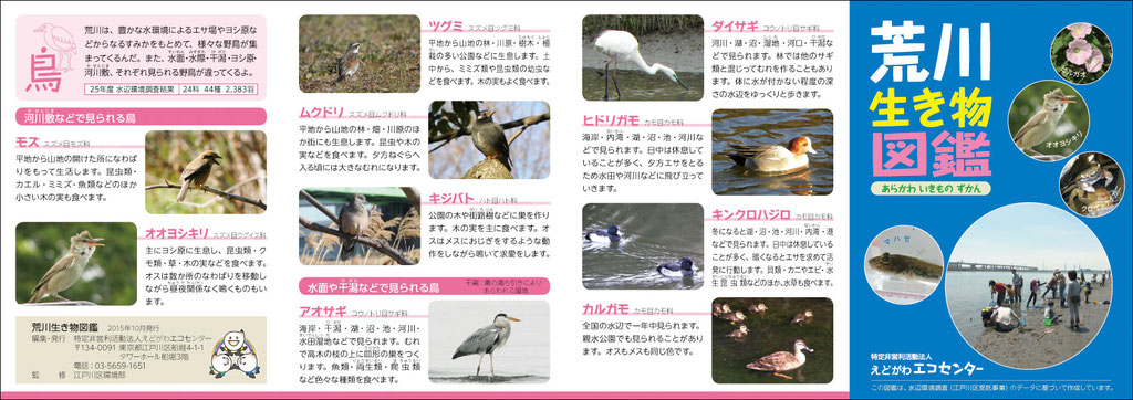 えどがわエコセンターの荒川生き物図鑑　表紙と鳥