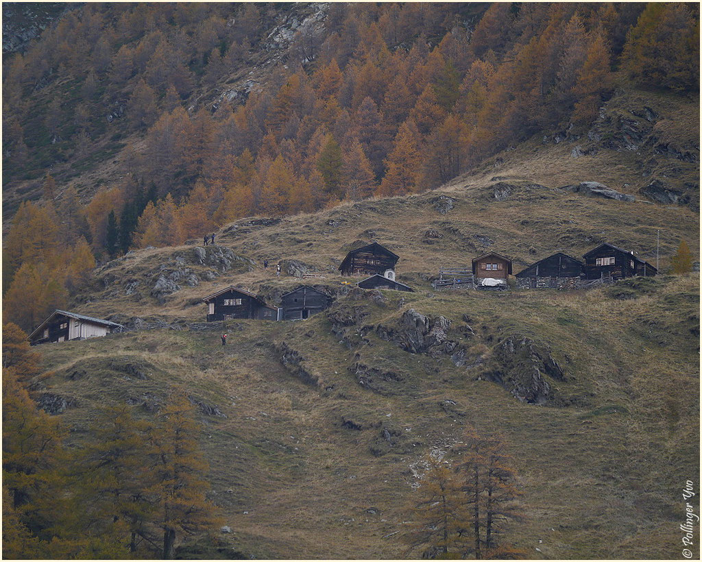 Baltschiedertal 01.11.2013