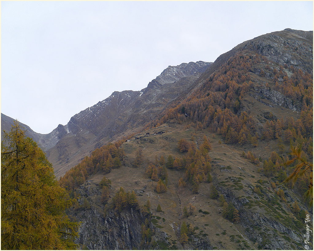 Baltschiedertal 01.11.2013