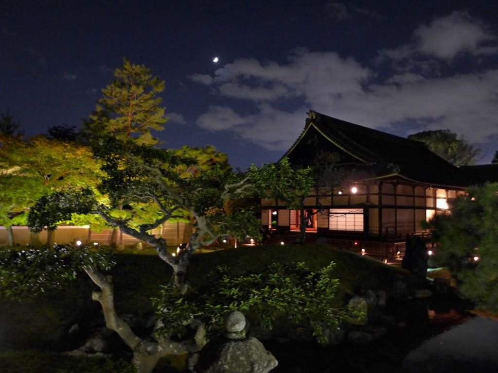 Kyoto Erlebnis, im Kodai-ji zum Night Illumination