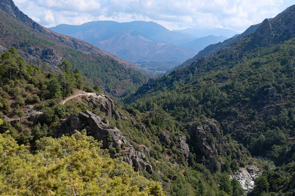 Tavignano-Schlucht Wanderung ab Corte 