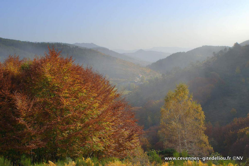 Admirer la vue sur les Cévennes depuis la petite corniche