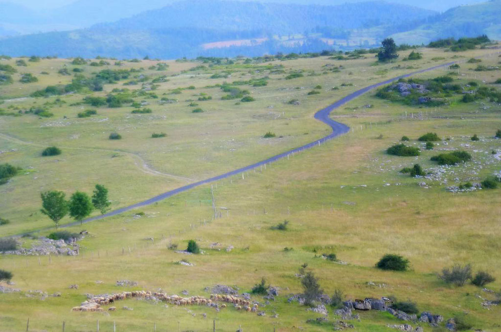 S'émerveiller en parcourant les paysages stéppiques du Causse Méjean