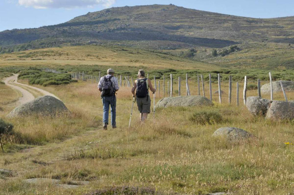 Marcher sur les sentiers du Mont-Lozère