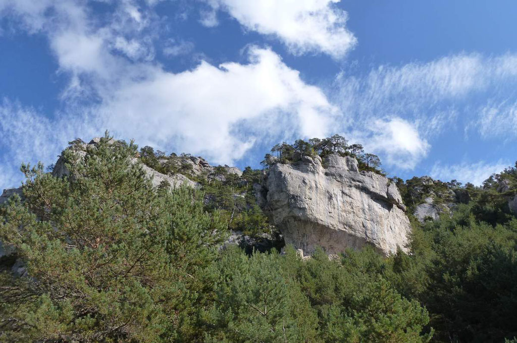 Embarquer sur un vaisseau amiral
