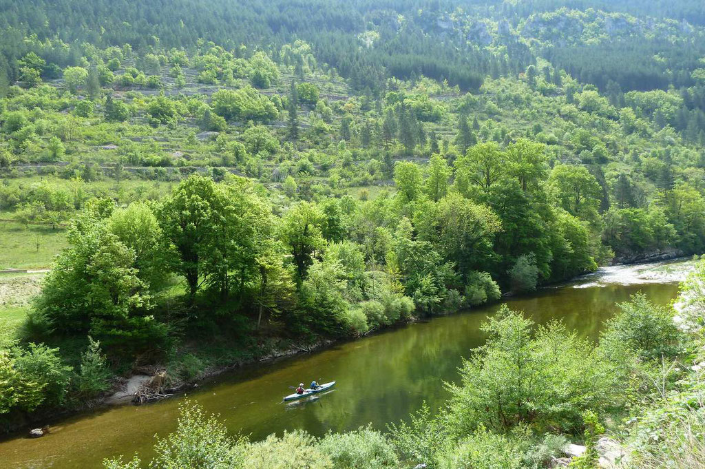 Monter au dessus des Gorges. Près de Castelbouc, admirer la vue sur le Tarn