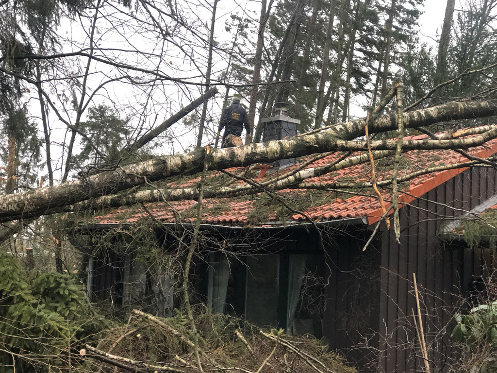 Weitere Bäume krachten auf das Haus und versetzten uns in