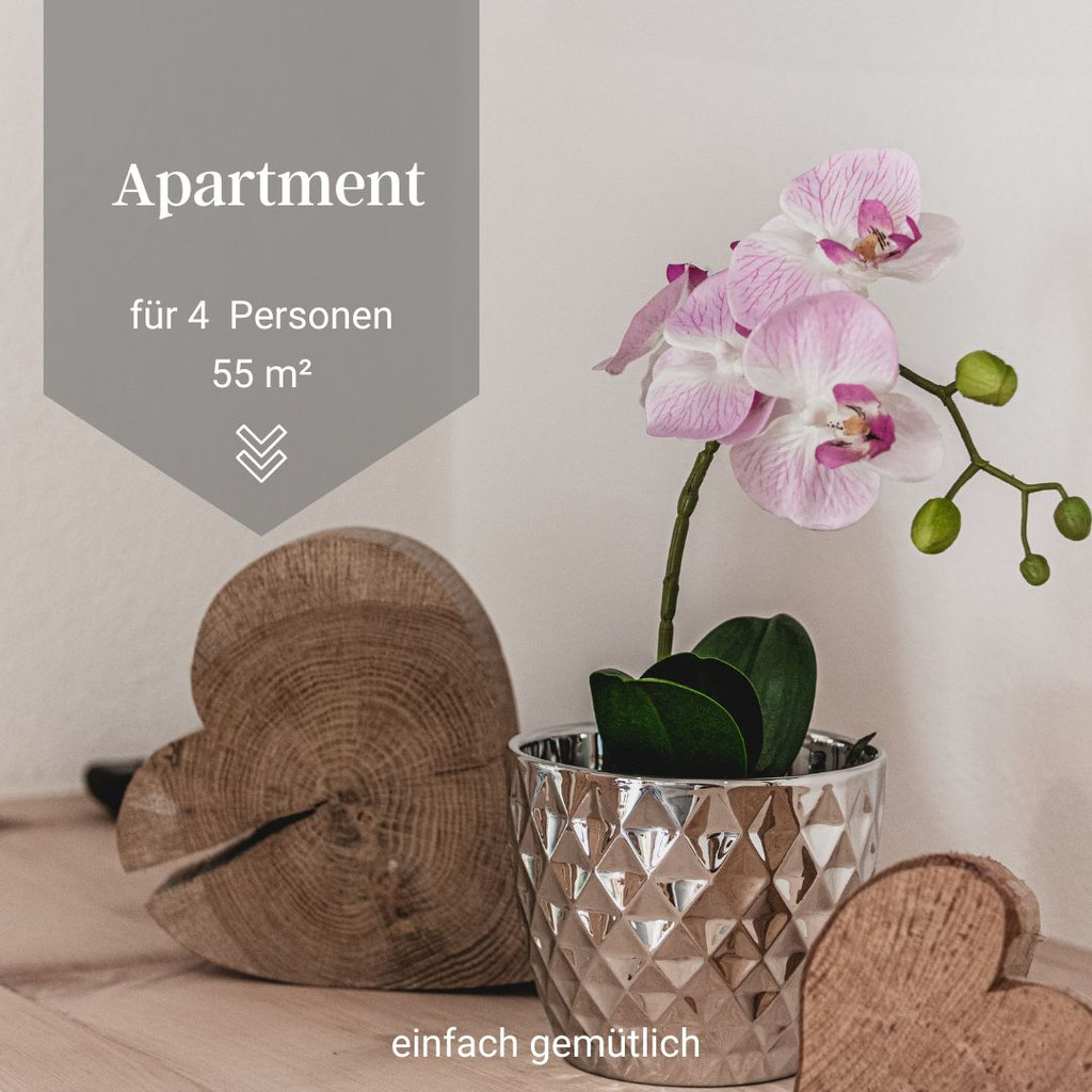 Apartment 4 Personen Haus Waldruh Eingang