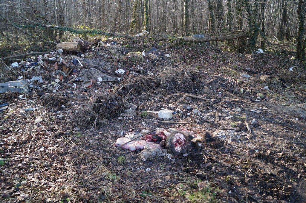 Le tas d'immondices avait été poussé un peu plus loin.