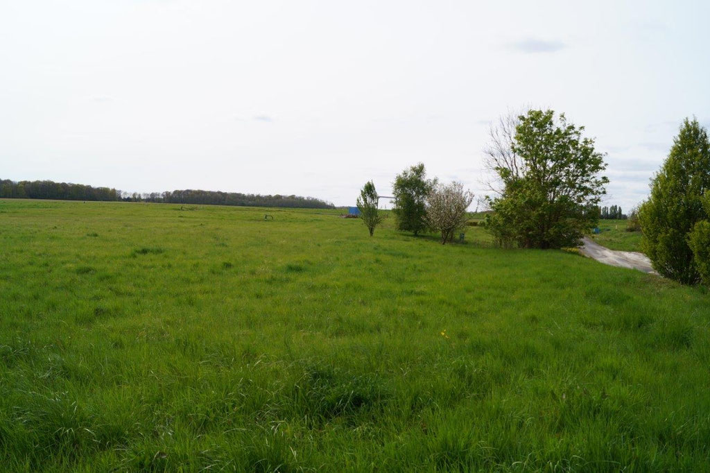 La ferme photovoltaïque devrait s'étendre sur 7 hectares.